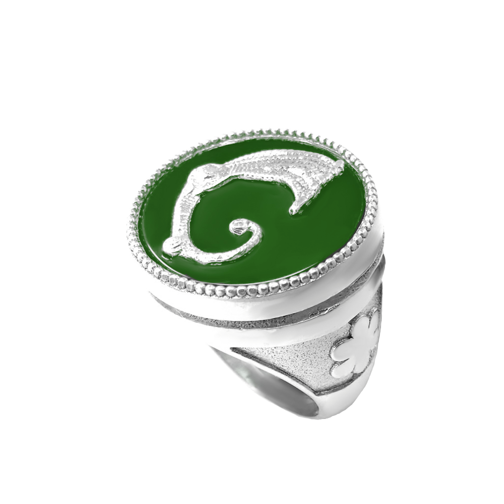 Draco Anello Dei Malfoy Anelli Draco Malfoy Lucius Malfoy Ring Italia