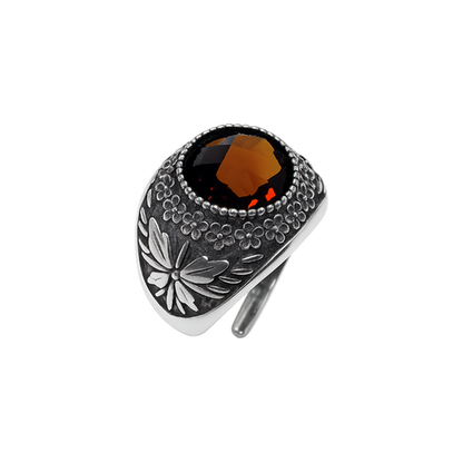 Anello Galassia