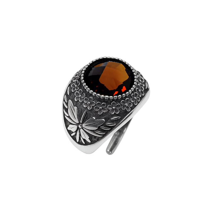 Anello Galassia Gennaio