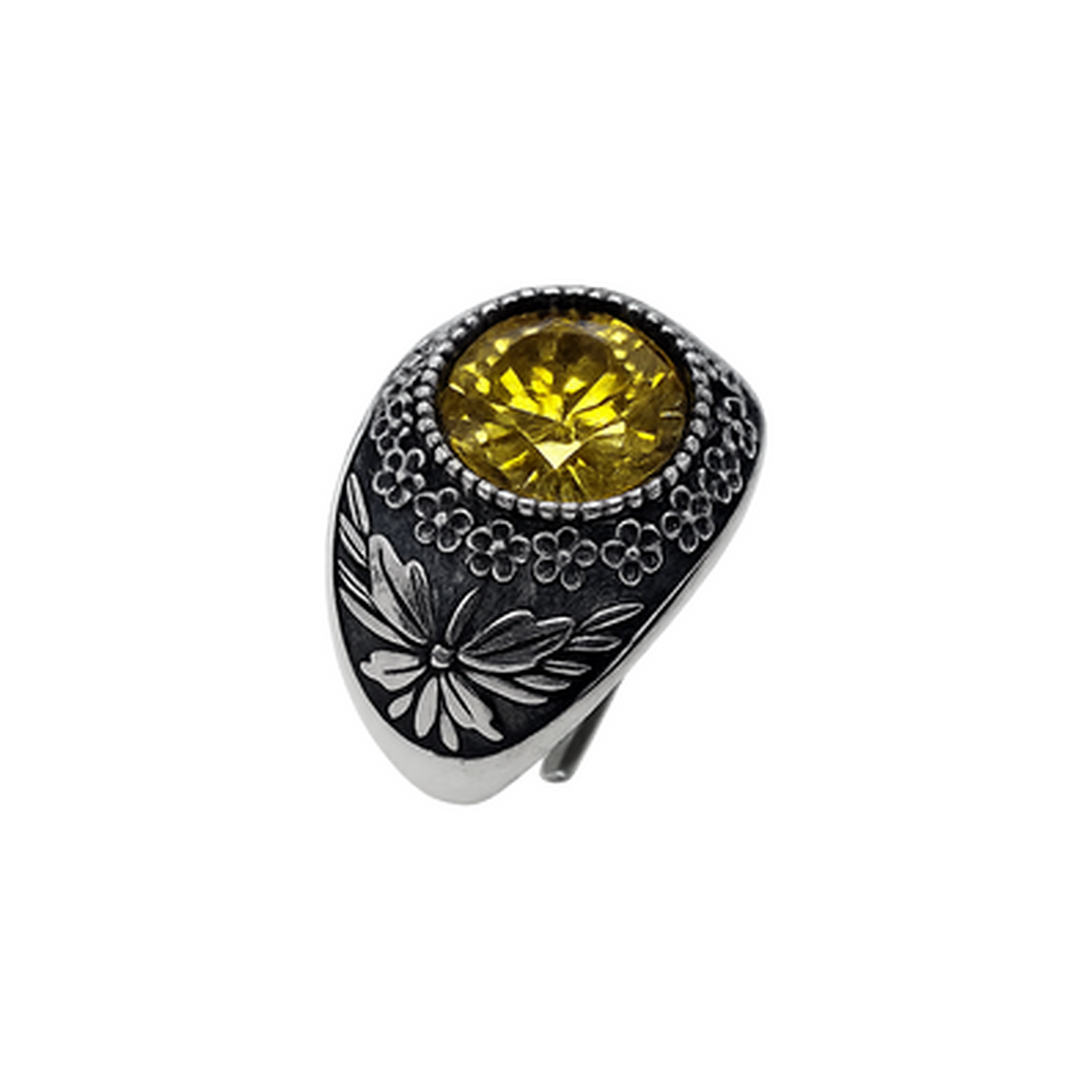 Anello Galassia Aprile