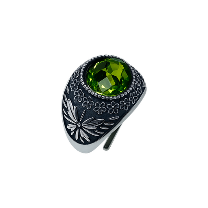 Anello Galassia Agosto
