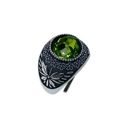 Anello Galassia Agosto