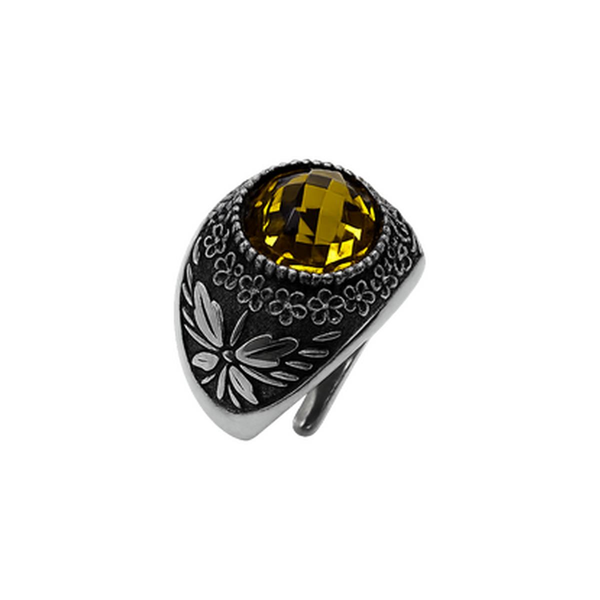 Anello Galassia Novembre