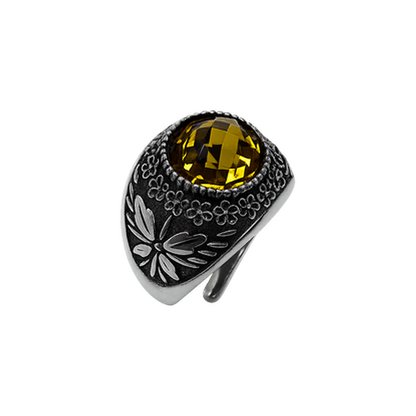 Anello Galassia Novembre