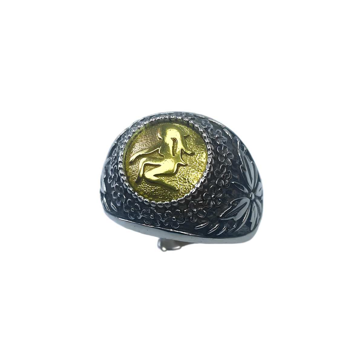 Anello Zodiaco placcato in Oro Vergine