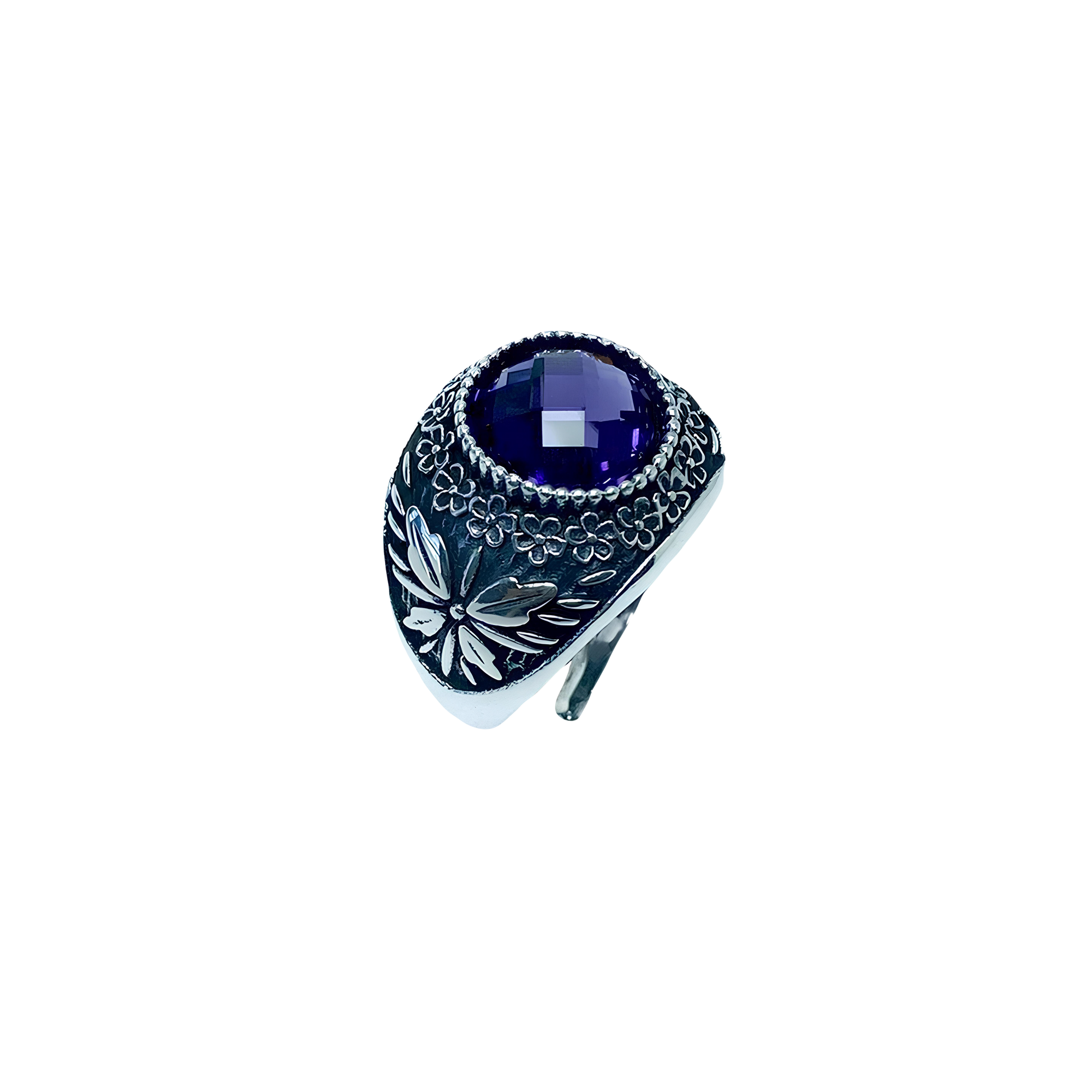 Anello Galassia Febbraio