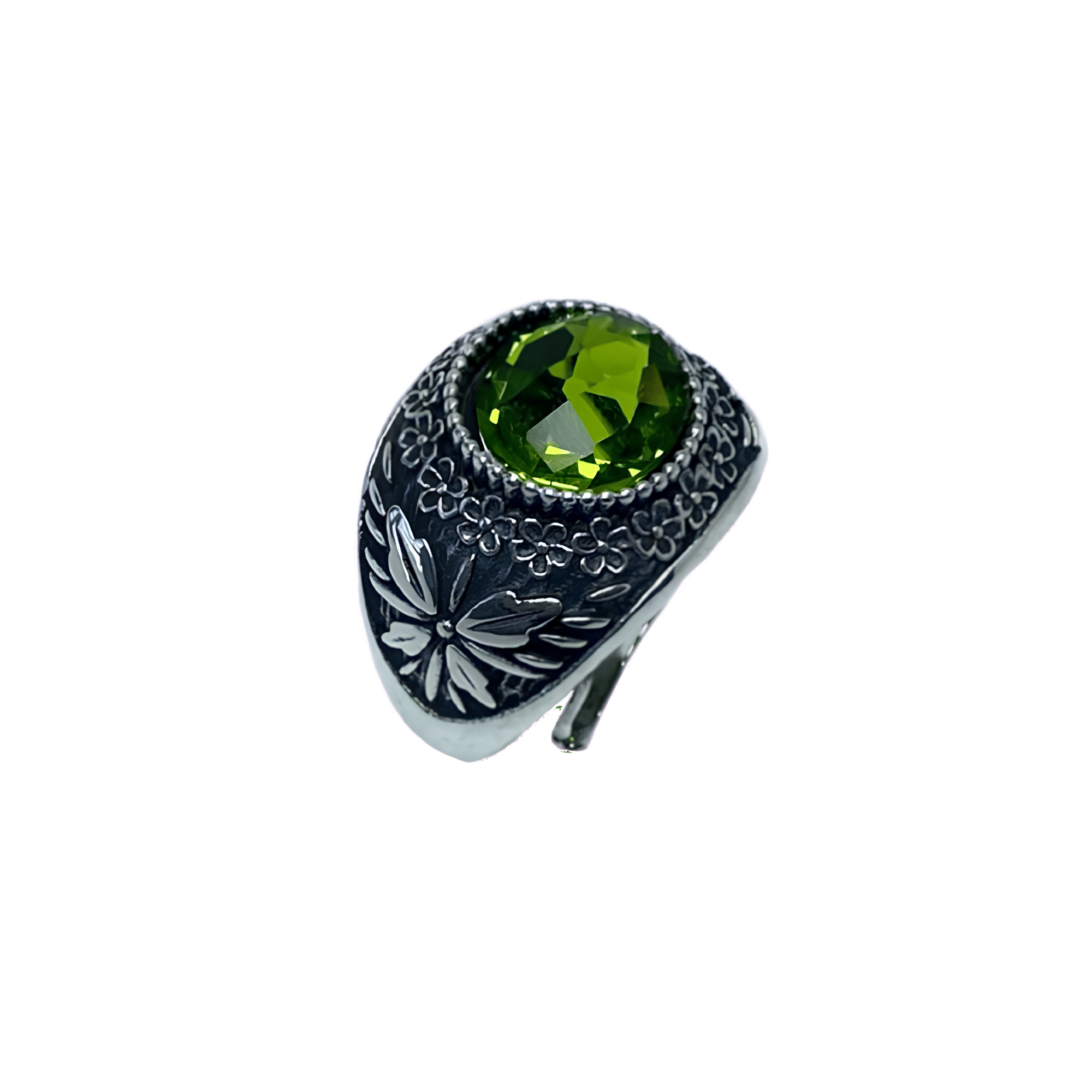 Anello Galassia Agosto