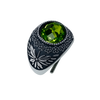 Anello Galassia Agosto