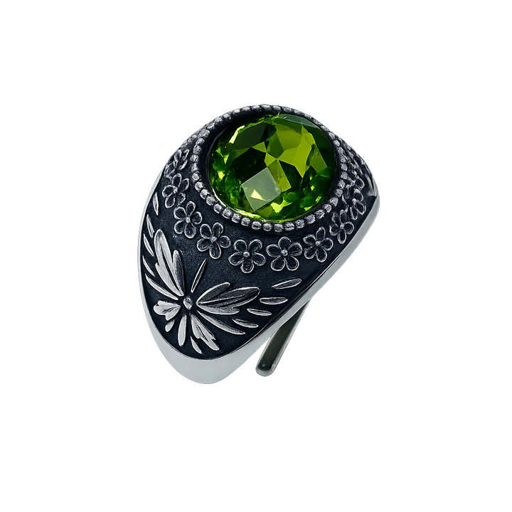 Anello Galassia Agosto