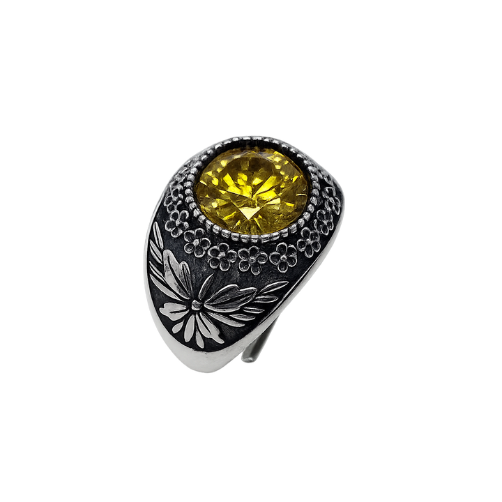 Anello Galassia Aprile