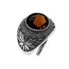 Anello Galassia Gennaio