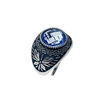 Anello Galassia Marzo