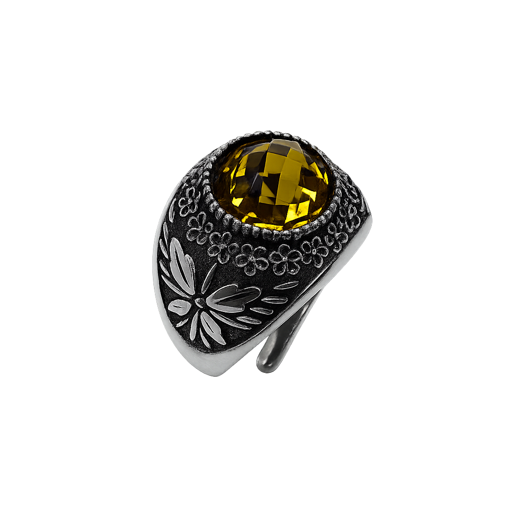 Anello Galassia Novembre