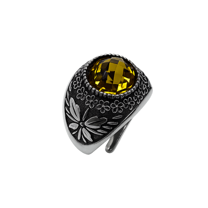 Anello Galassia Novembre
