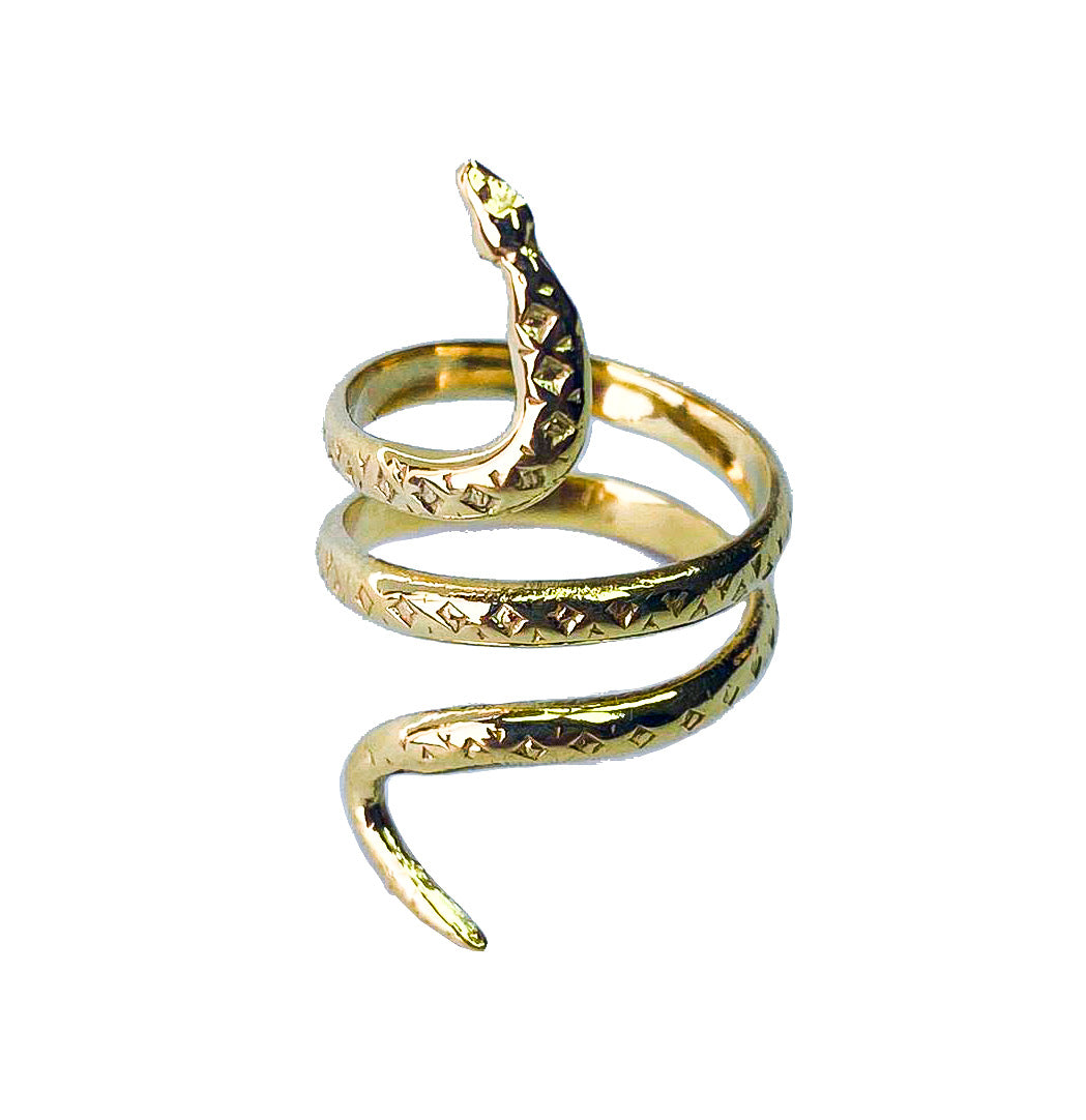 Anello serpente Archeology